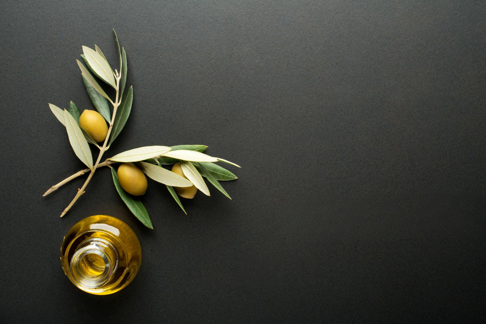 al ferdous olive factory